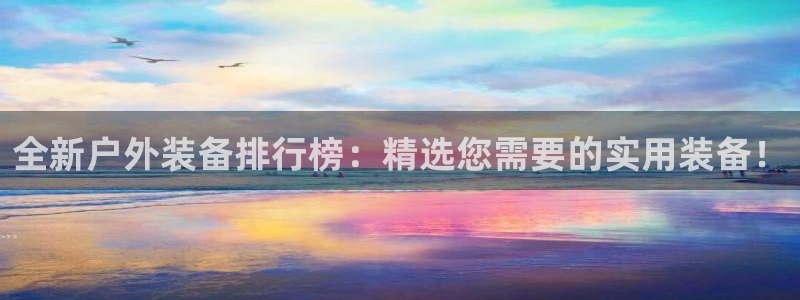 新宝GG53339咨询新宝GG