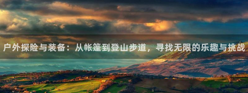 新宝gg什么