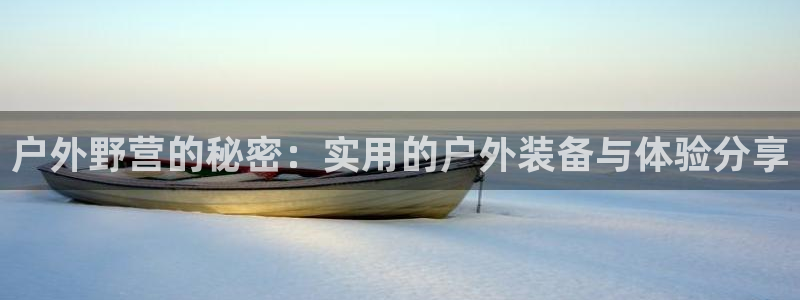 新宝gg什么
