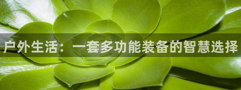 新宝gg首页