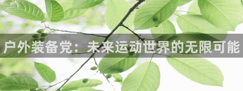 创造奇迹新宝gg