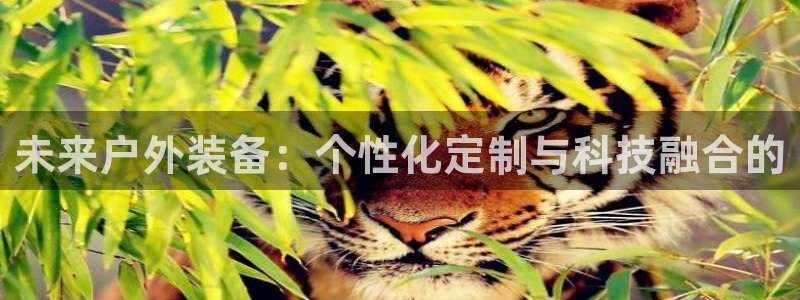 新宝gg合作