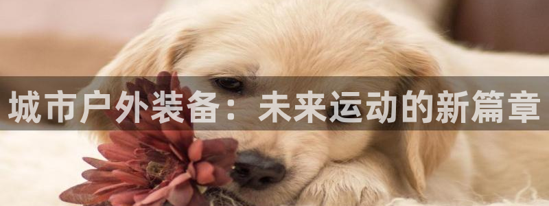 新宝gg平台怎么样