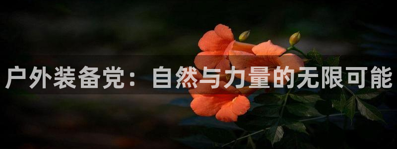 新宝gg真的能赚钱么